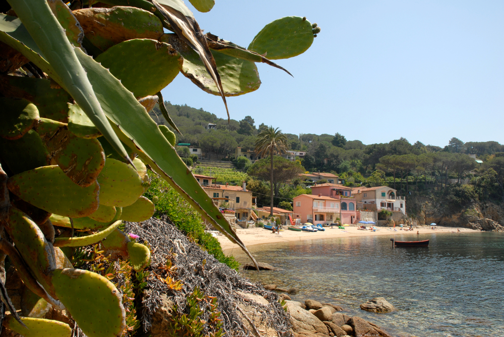 Cala di Forno