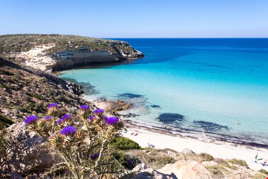 Spiaggia dei Conigli Lampedusa jackbolla - Shutterstock.com 