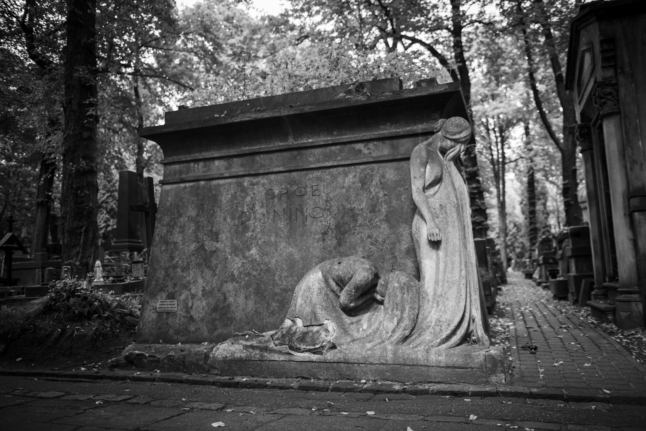 Cimitero Powazki
