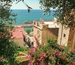 Pisciotta Pisciotta