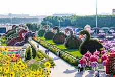 Miracle Garden
