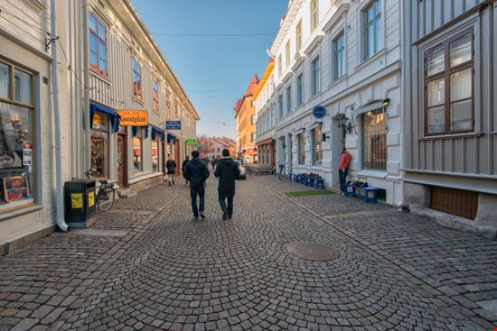 Haga Haga Rolf_52 / Shutterstock.com 