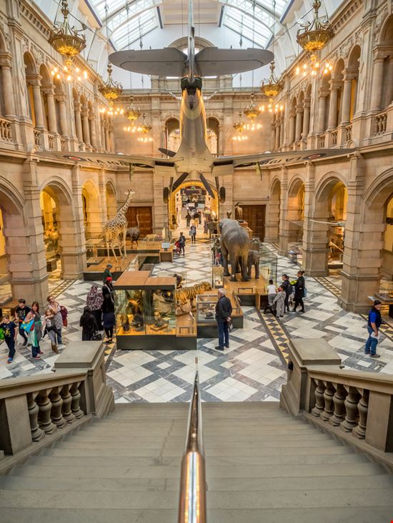 Kelvingrove Art Gallery  Kelvingrove Art Gallery  Jeff Whyte / Shutterstock.com 