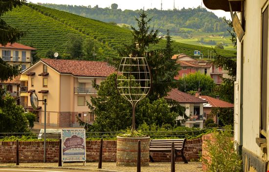 Barolo Barolo Massimo Parisi - Istockphoto.com 