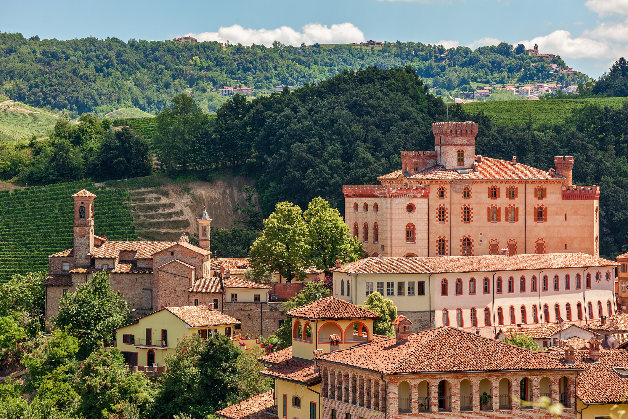 Sono stata nelle Langhe e ho trovato il re dell'autunno: ha meno di 600 abitanti ma è la vera capitale del vino