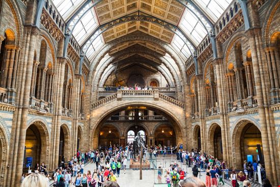 Museo di Storia Naturale Museo di Storia Naturale ileana_bt / Shutterstock.com ileana_bt / Shutterstock.com