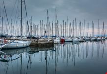 muggia