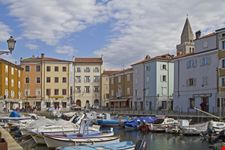 muggia