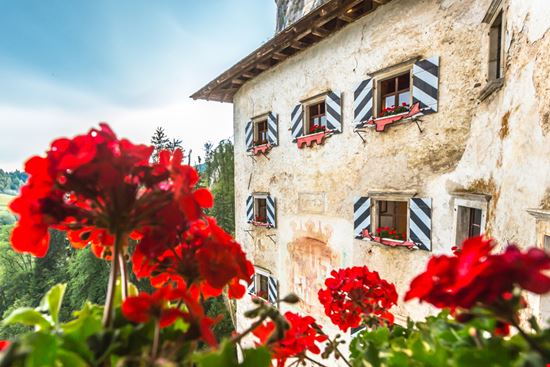 castello di Predjama castello di Predjama Marcelo Alex - Shutterstock.com 