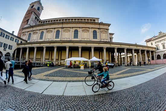 Novara Novara Dizfoto / Shutterstock.com 