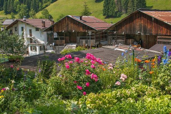 Sottoguda Il diamante grezzo delle Dolomiti Buffy1982 / Shutterstock.com 