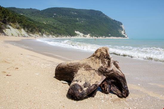 Sirolo Spiaggia San Michele Shutterstock.com 