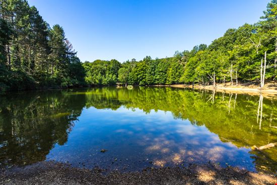 Foresta Umbra Foresta Umbra Francesco Bonino - Shutterstock.com 