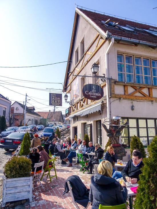 Zemun Zemun Mark.Pelf / Shutterstock.com 