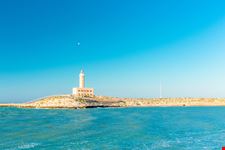 Faro