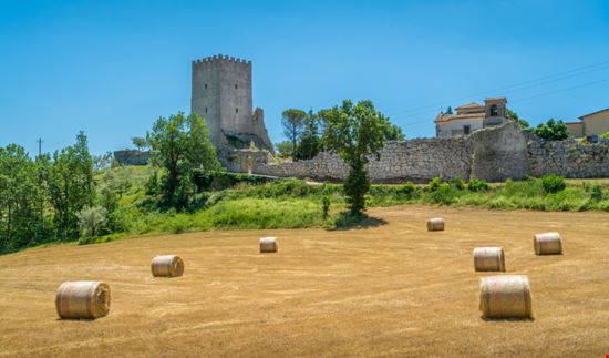 Arpino Acropoli di Civitavecchia Stefano_Valeri - Shutterstock.com 