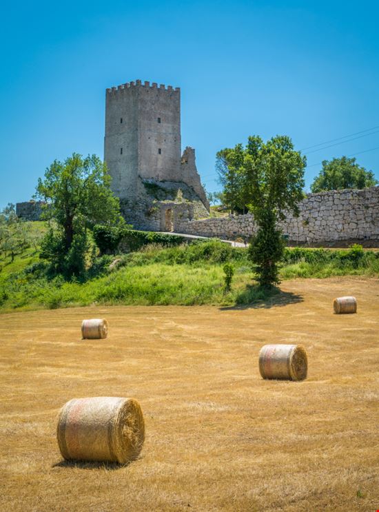 Arpino Acropoli di Civitavecchia Stefano_Valeri - Shutterstock.com 
