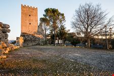 Arpino
