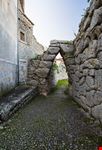 Arpino