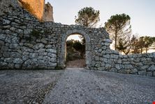 Arpino