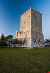 Arpino