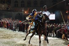 Arezzo