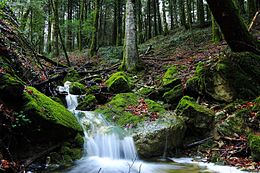Riserva naturale Collemeluccio