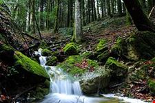 Riserva naturale Collemeluccio