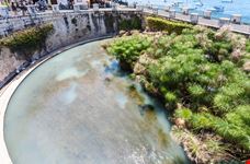 La Fonte Arethusa