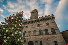 Montepulciano
