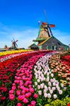 Zaanse Schans