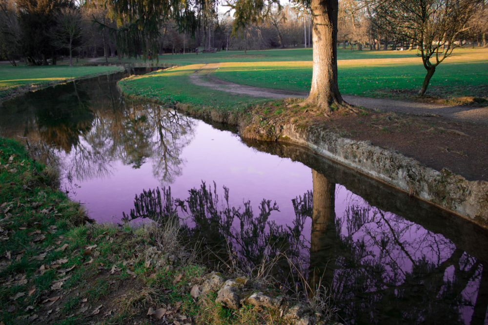 Parco di Monza