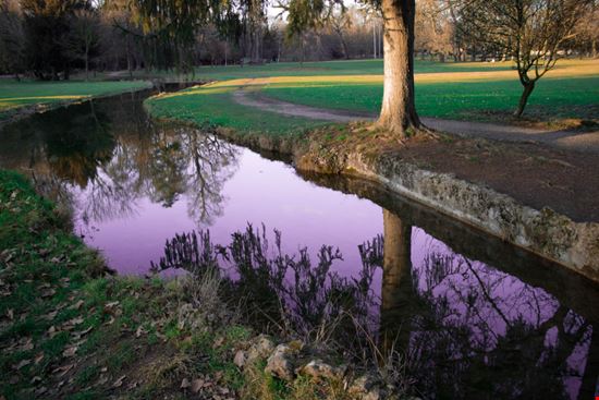 Parco di Monza Parco di Monza Jousha98 / Shutterstock.com 