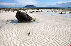 Fuerteventura