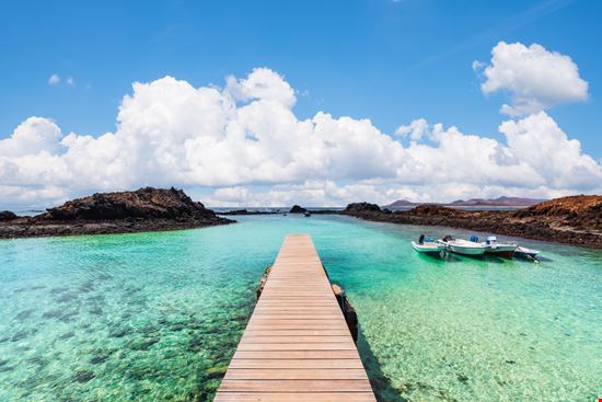 Fuerteventura Isla de Lobos Shutterstock.com 