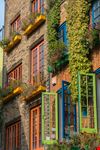 Neal's Yard