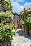 Assisi