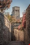 Assisi