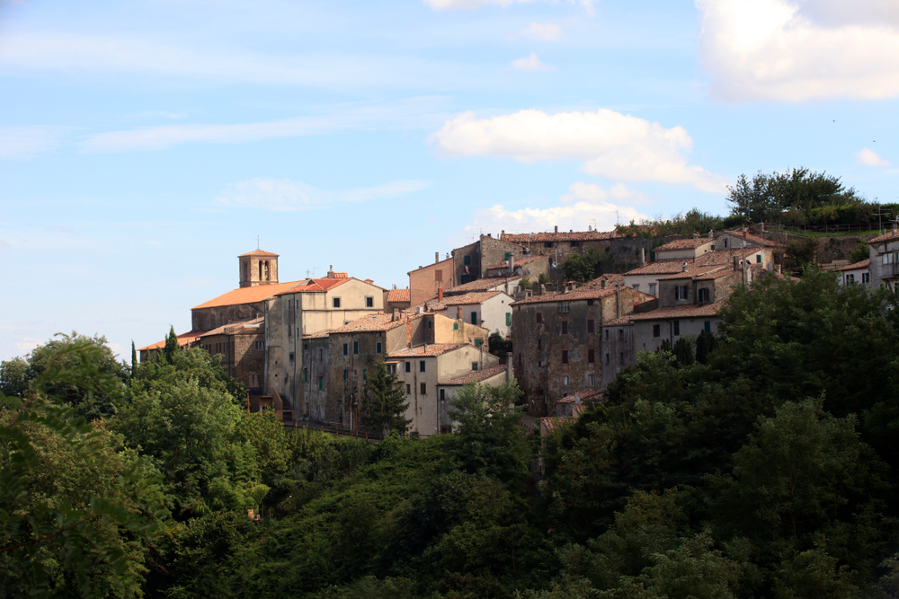 Scansano