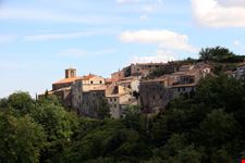 Scansano