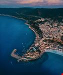 Scilla
