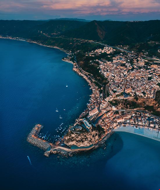 Scilla Scilla stock.adobe.com 