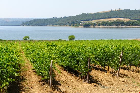 Lago di Corbara Lago di Corbara clodio - Istockphoto.com 
