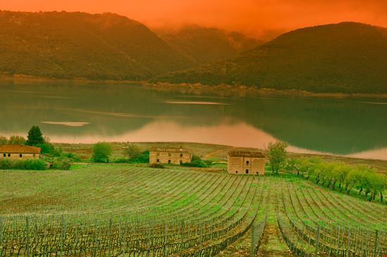 Lago di Corbara Lago di Corbara gkuna - Istockphoto.com 