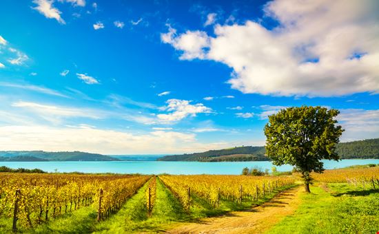 Lago di Corbara Lago di Corbara StevanZZ - Istockphoto.com 