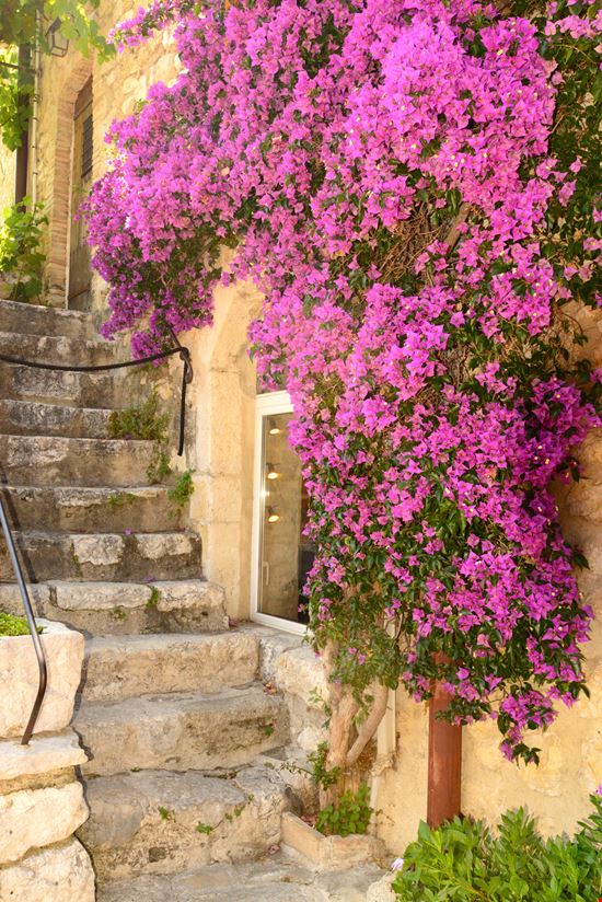 Saint-Paul-de-Vence Saint-Paul-de-Vence mauinow1 - Istockphoto.com 