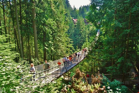 Capilano Bridge Capilano Bridge Lissandra Melo / Shutterstock.com 