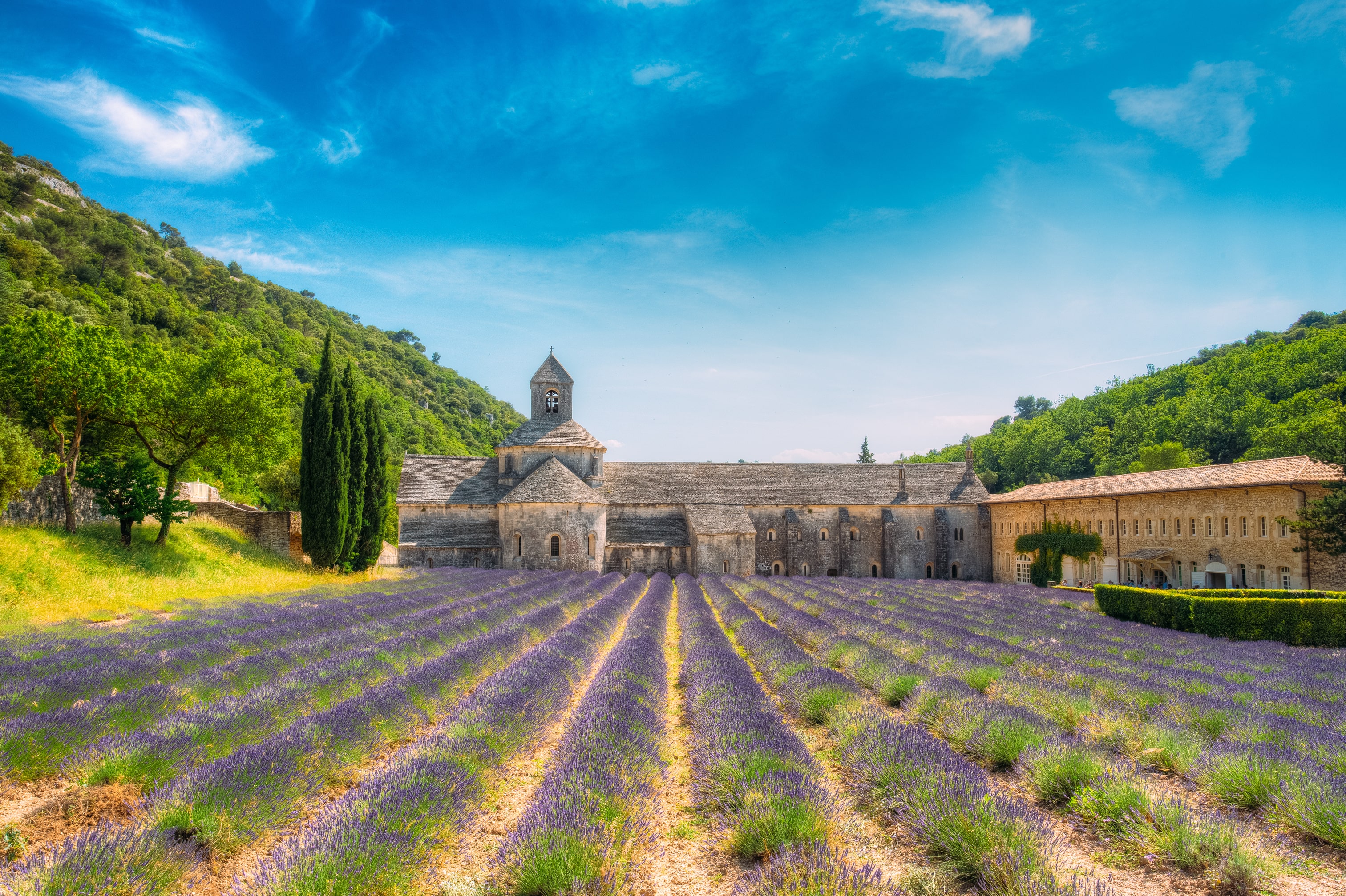 Abbazia di Senanque