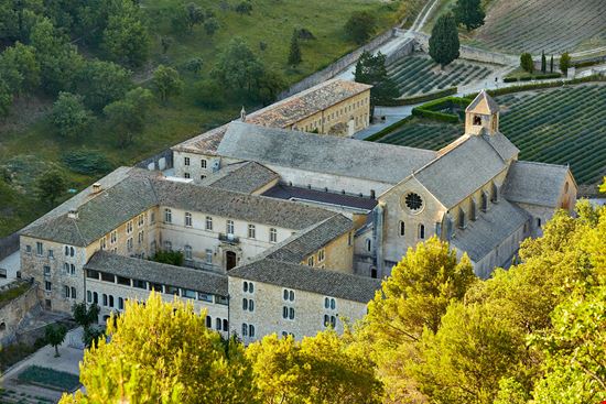 Abbazia di Senanque L'abbazia nei campi di lavanda della Provenza stock.adobe.com 