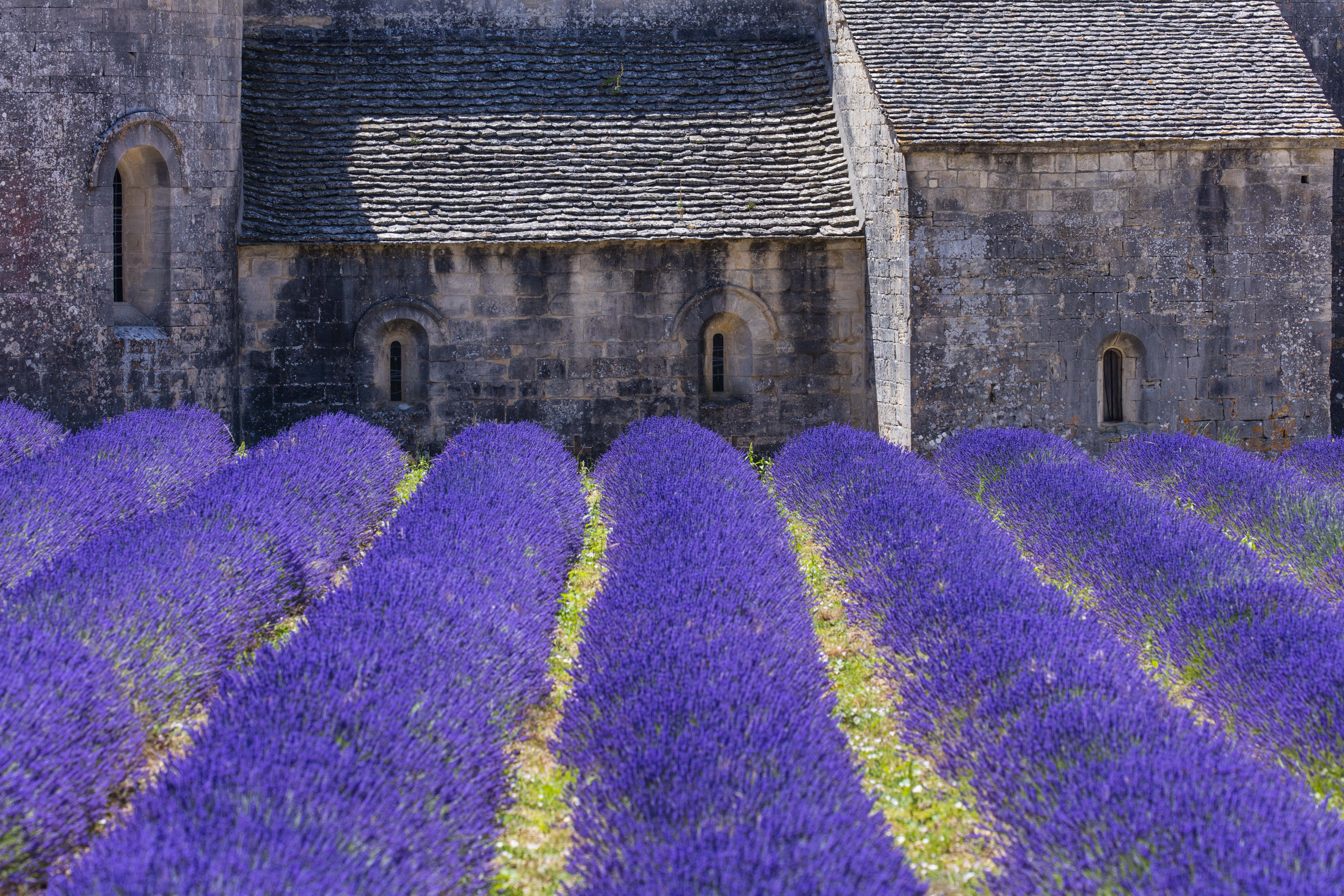Questi borghi tra le colline francesi ti faranno venire voglia di programmare subito un viaggio in Provenza